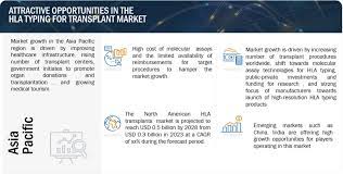 HLA Typing for Transplant Market