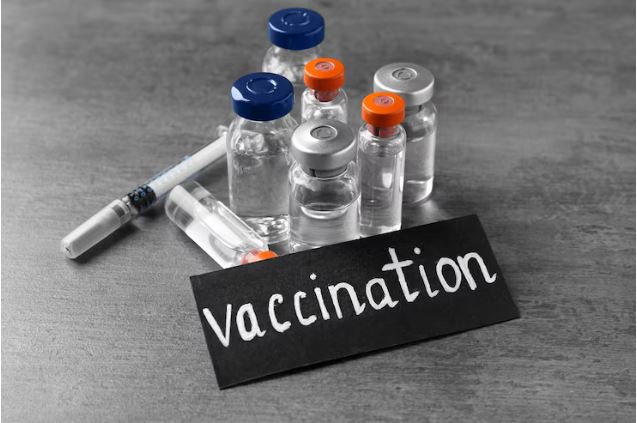 Vaccine Adjuvants Market