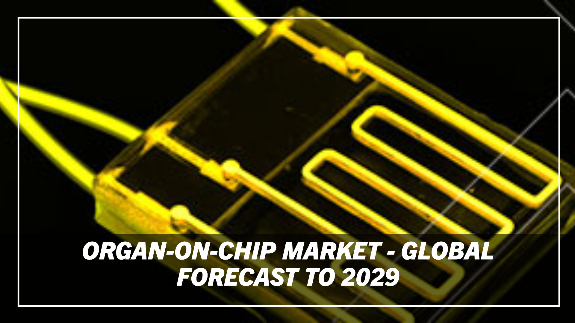 Organs-on-chips Market