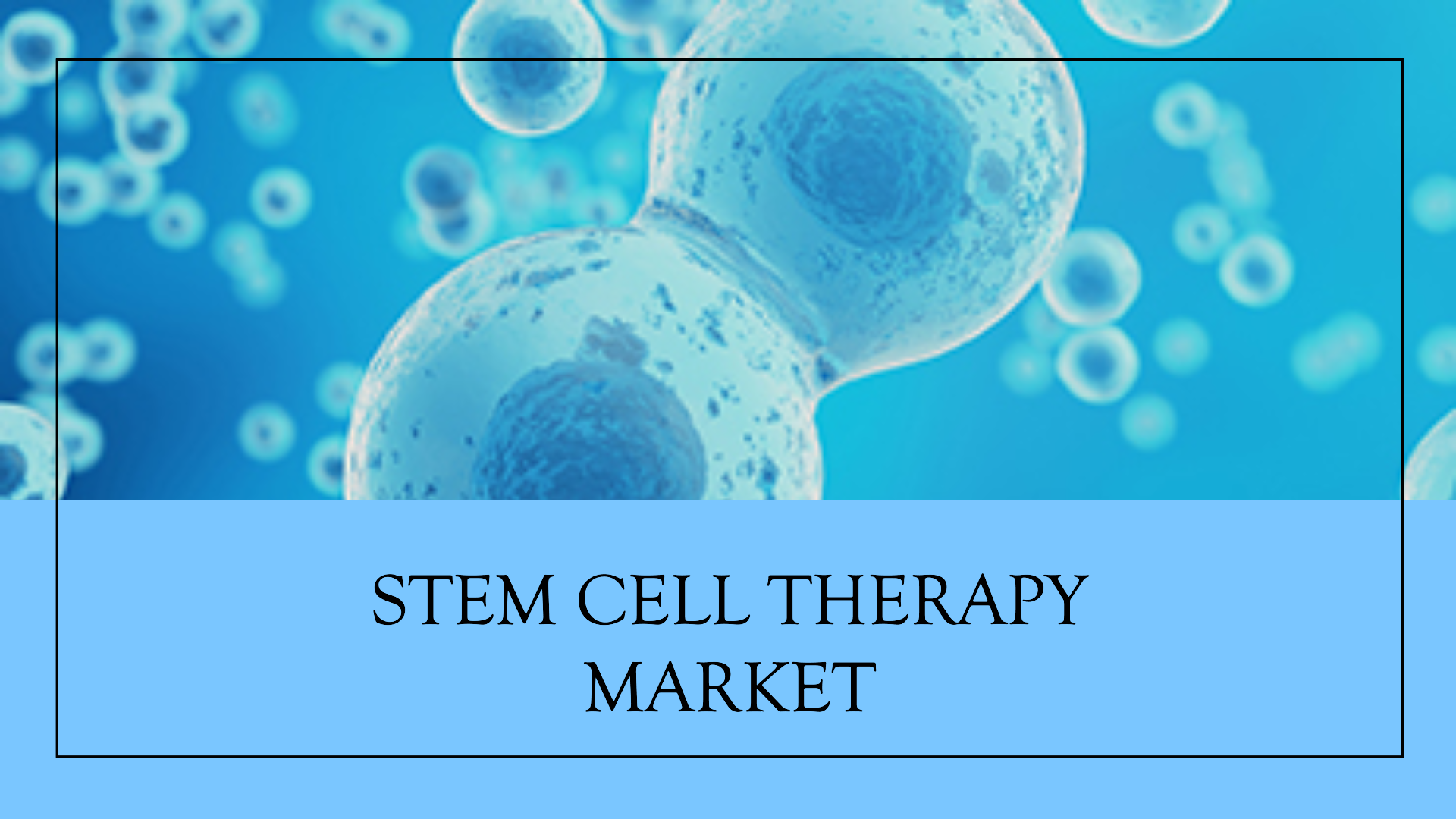 Stem Cell Therapy Market 